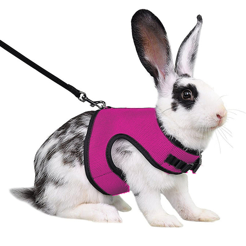 Guinea Pig & Rabbit Harness – Mini Pet Rope Vest with Leash