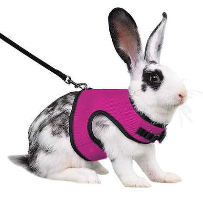 Velanta™ Guinea Pig & Rabbit Harness