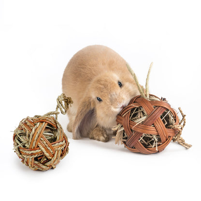 Velanta™ Guinea Pig Chewing Toy