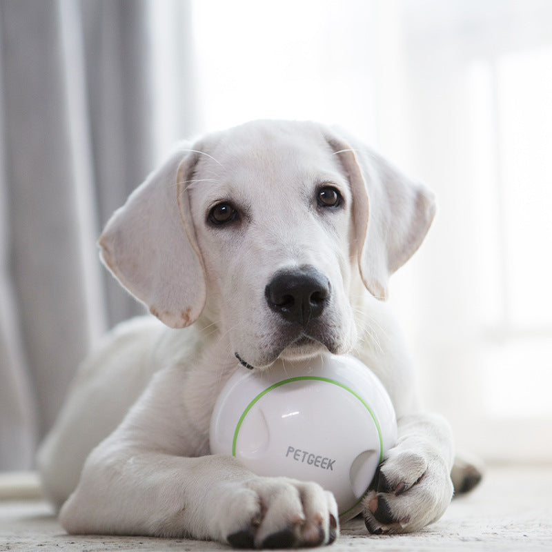 Velanta™ Interactive Electric Dog Toy