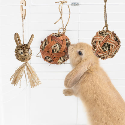 Velanta™ Guinea Pig Chewing Toy