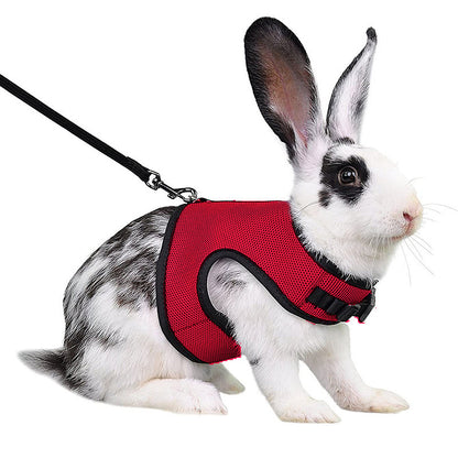 Velanta™ Guinea Pig & Rabbit Harness