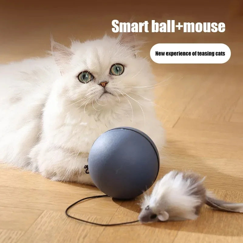 Interactive Mouse Teaser Ball – Automatic Rolling Toy for Cats & Small Dogs