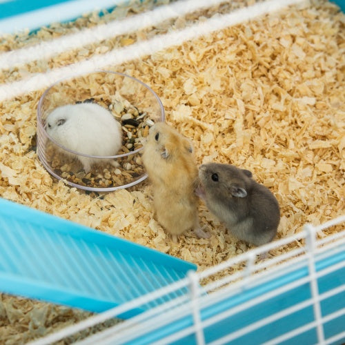 Oversized 23" Hamster Cage with Tube and Tunnel – Portable Handle
