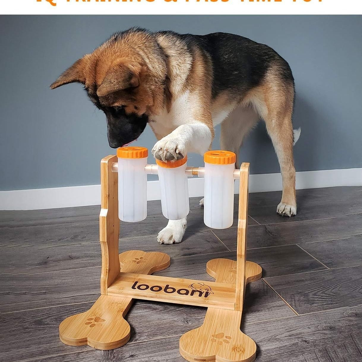 Dog Wooden Puzzle Toy – Interactive Snack Dispenser