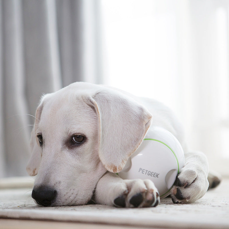 Velanta™ Interactive Electric Dog Toy