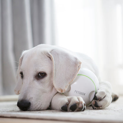 Velanta™ Interactive Electric Dog Toy