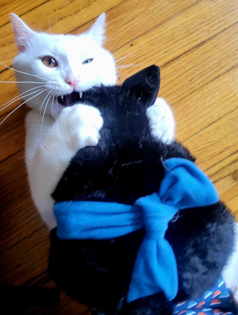 Velanta™ Cat Wrestler Glove Puppet