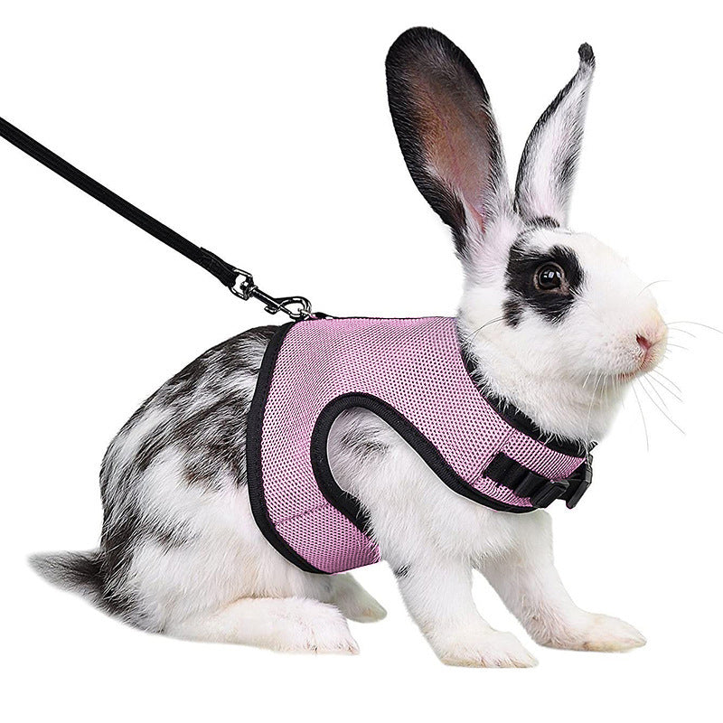Guinea Pig & Rabbit Harness – Mini Pet Rope Vest with Leash