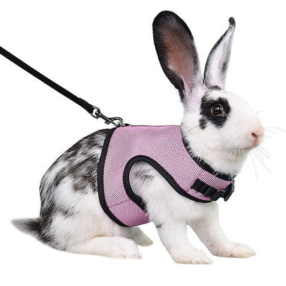 Velanta™ Guinea Pig & Rabbit Harness