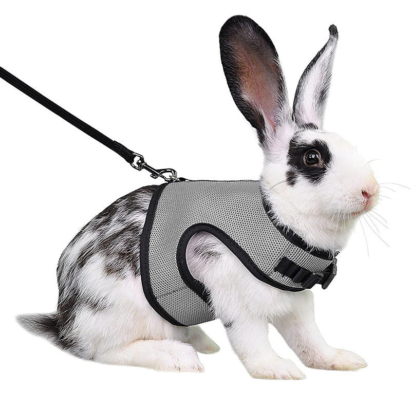 Guinea Pig & Rabbit Harness – Mini Pet Rope Vest with Leash