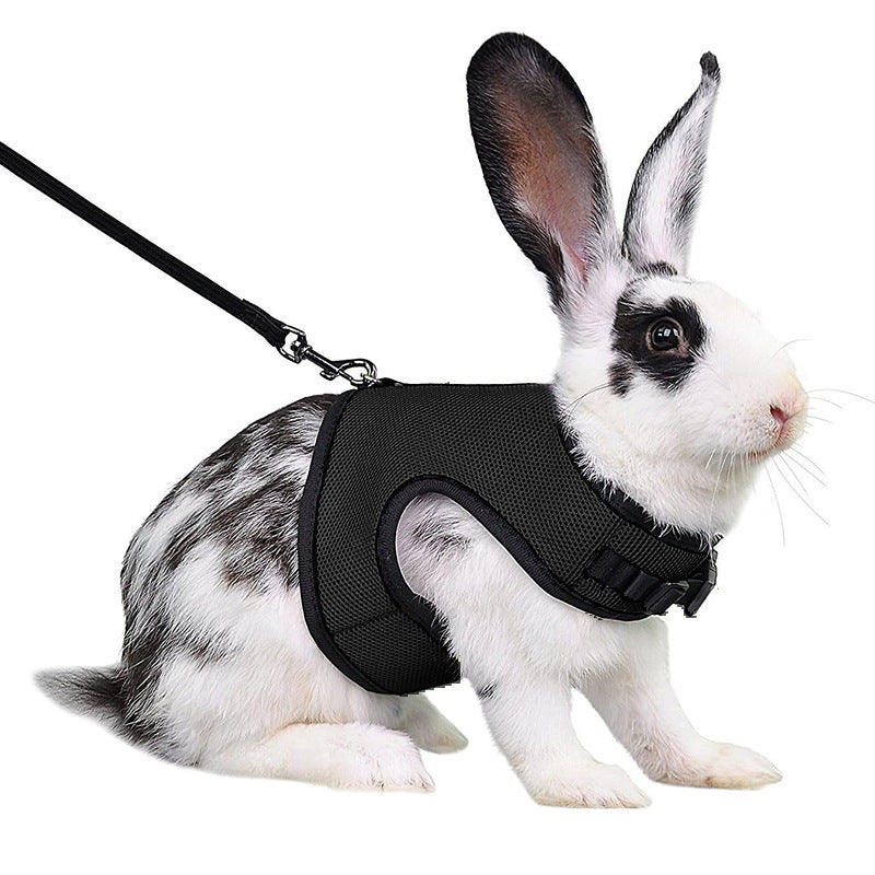 Guinea Pig & Rabbit Harness – Mini Pet Rope Vest with Leash