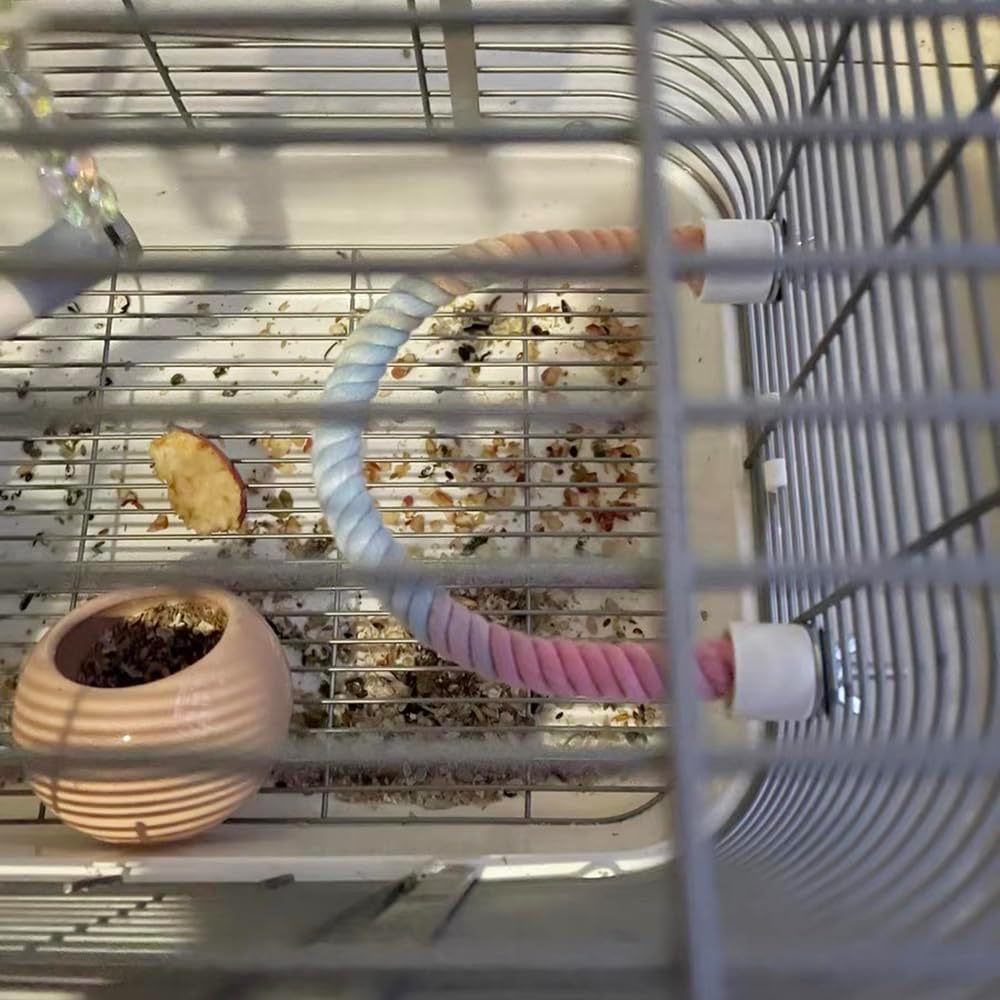 Gradient Colorful Bird Rope Perch – Bendable Climbing Stand for Cages