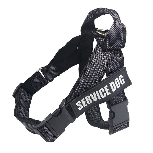 Large Dog Car Safety Harness – Chest and Back Seatbelt