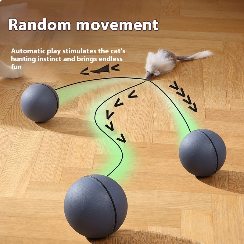 Interactive Mouse Teaser Ball – Automatic Rolling Toy for Cats & Small Dogs