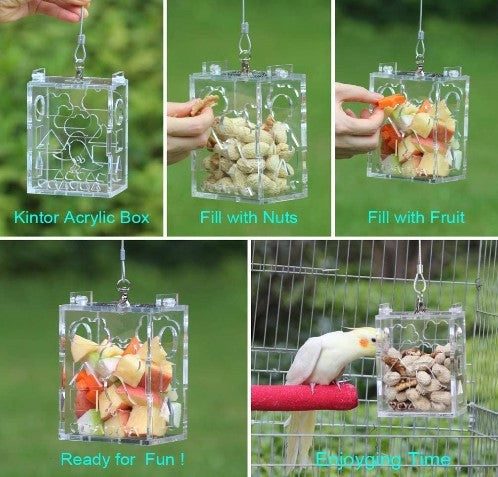 Parrot Training Toy – Interactive Foraging Device